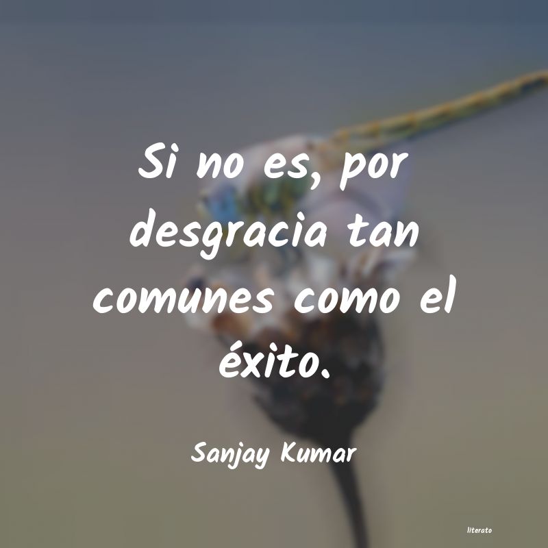 Frases de Sanjay Kumar