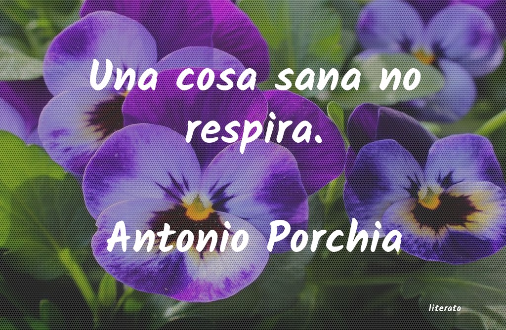 Frases de Antonio Porchia