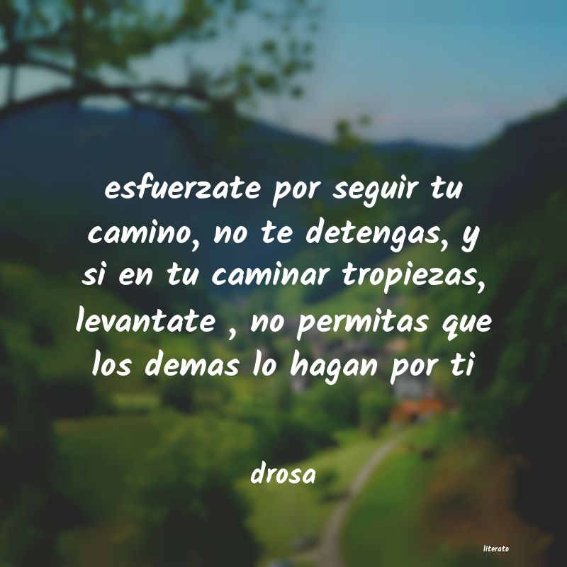 Frases de drosa