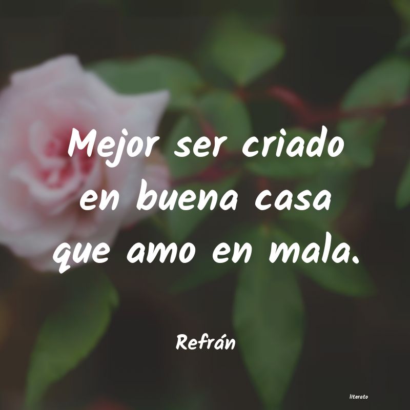 frases de Refrán