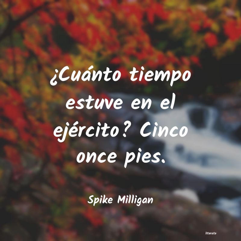 frases de Spike Milligan