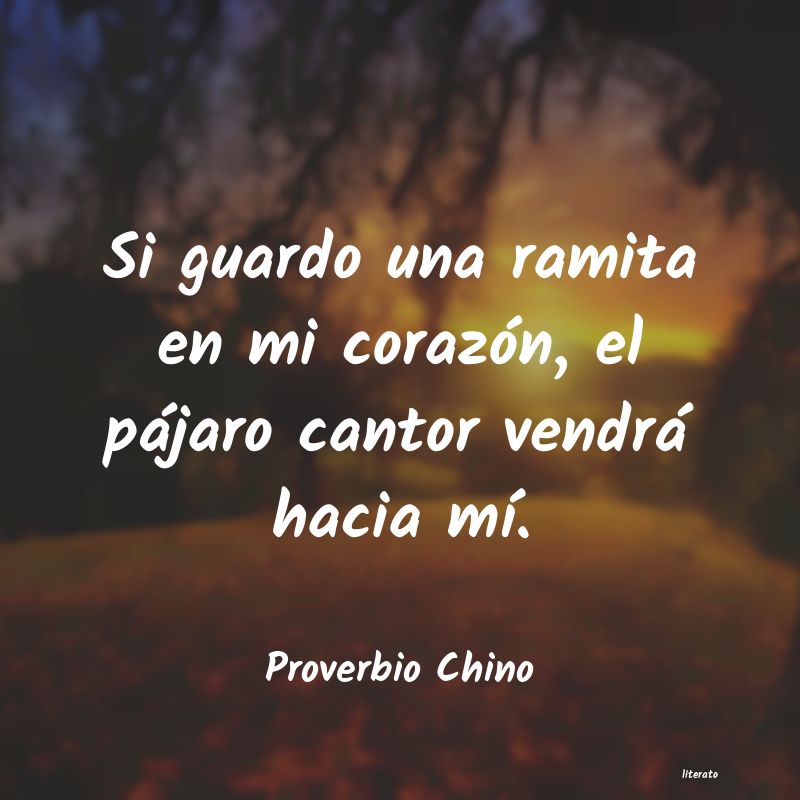 frases de Proverbio Chino