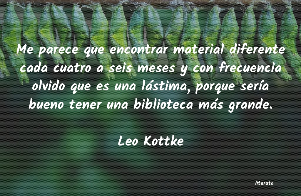 frases de Leo Kottke