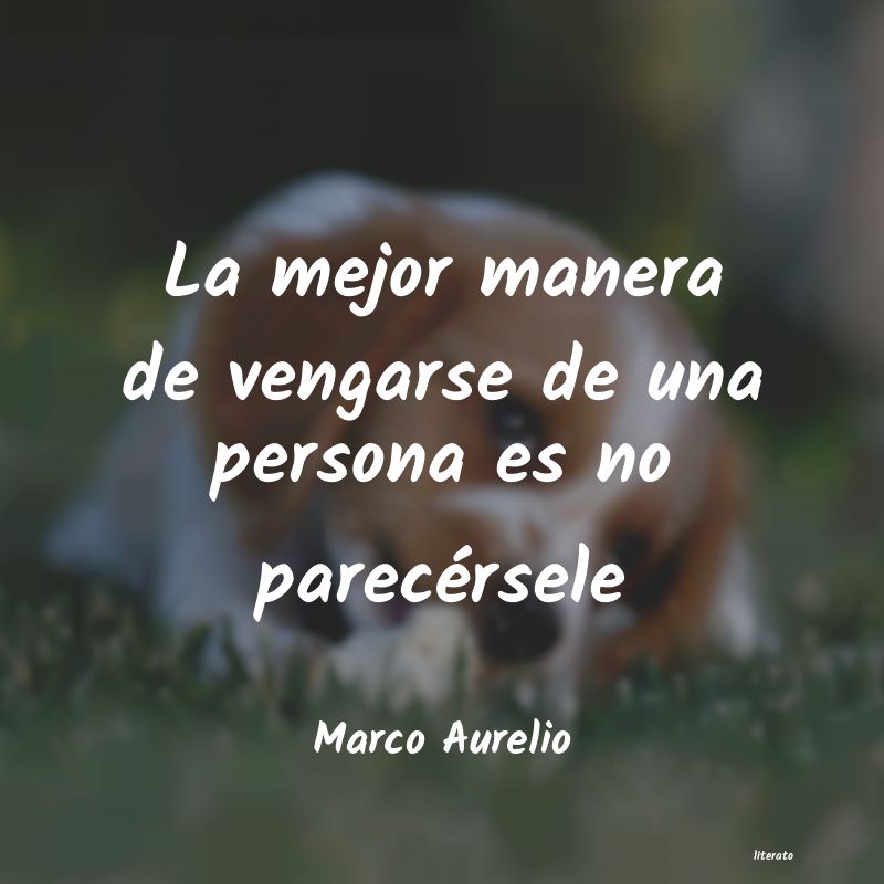 Frases de Marco Aurelio