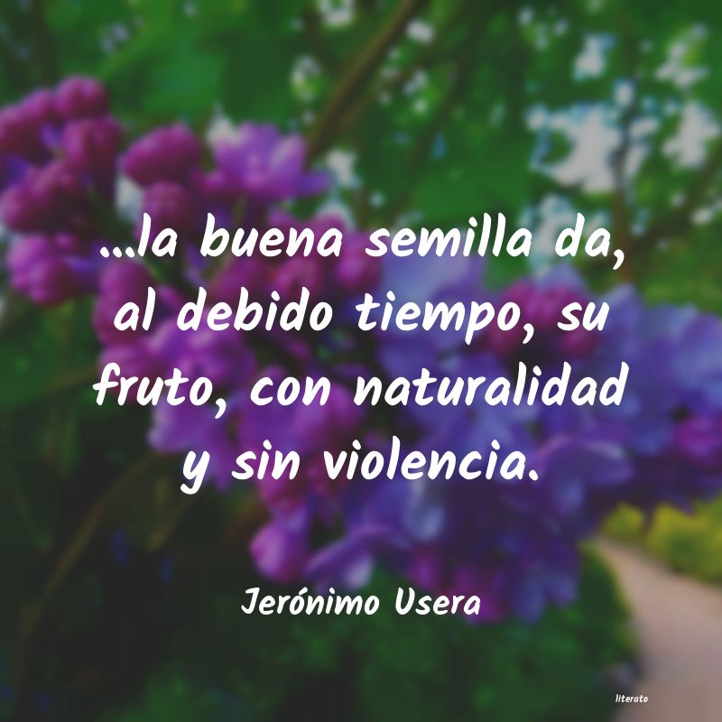 Frases de Jerónimo Usera