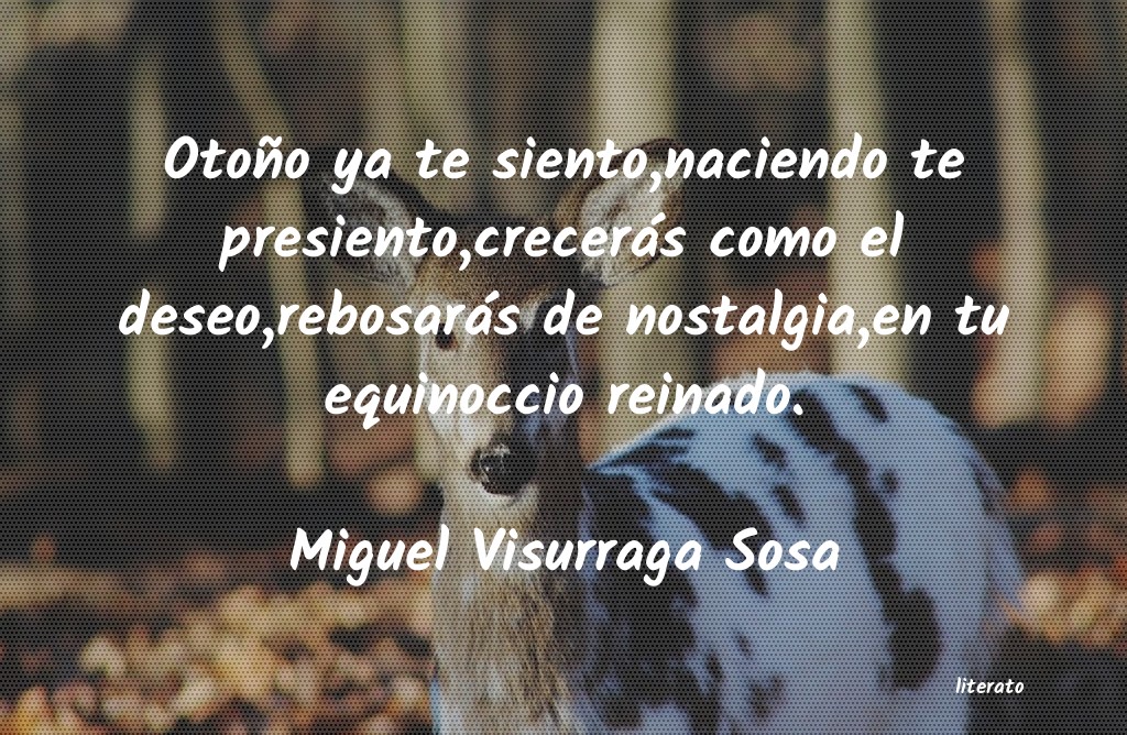 frases de Miguel Visurraga Sosa