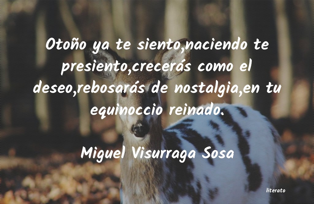 Frases de Miguel Visurraga Sosa