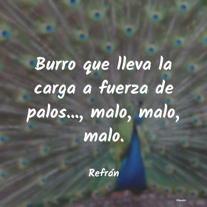 frases de Refrán