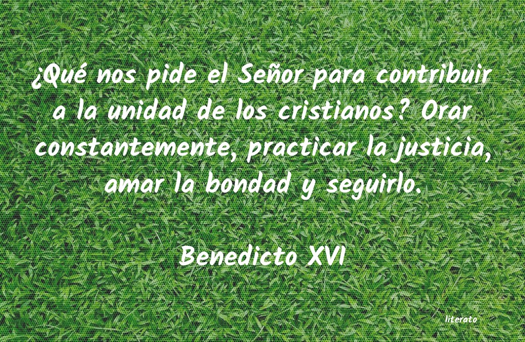 Frases de Benedicto XVI