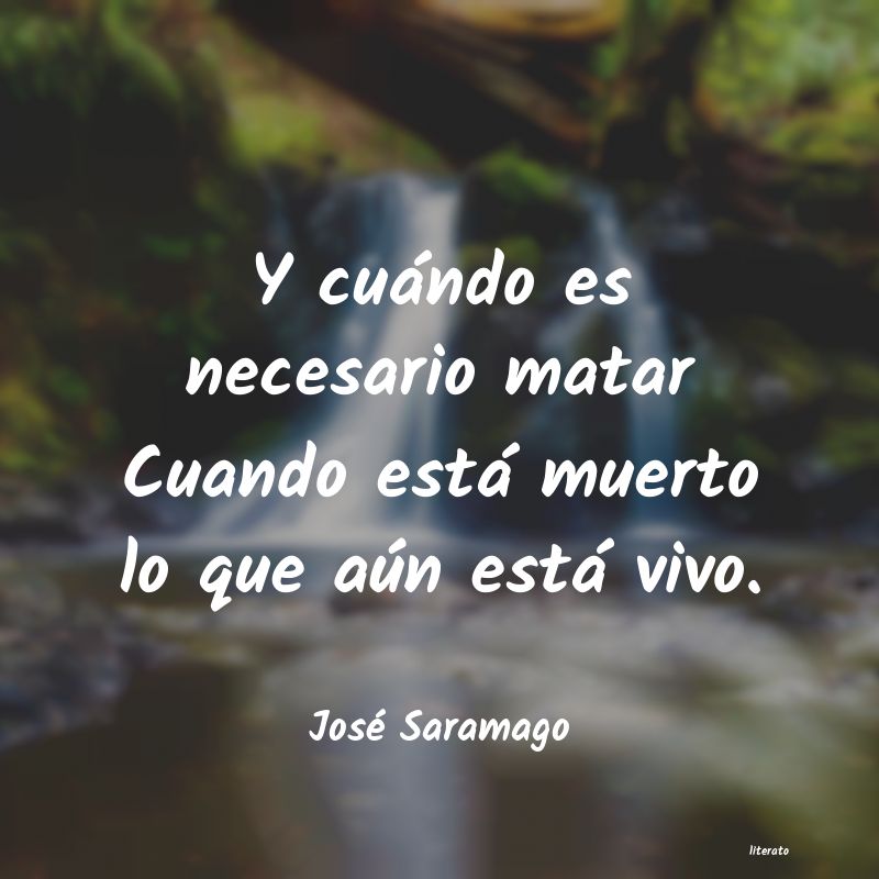 Frases de José Saramago