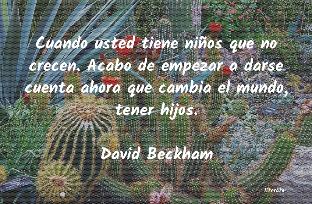 frases de David Beckham