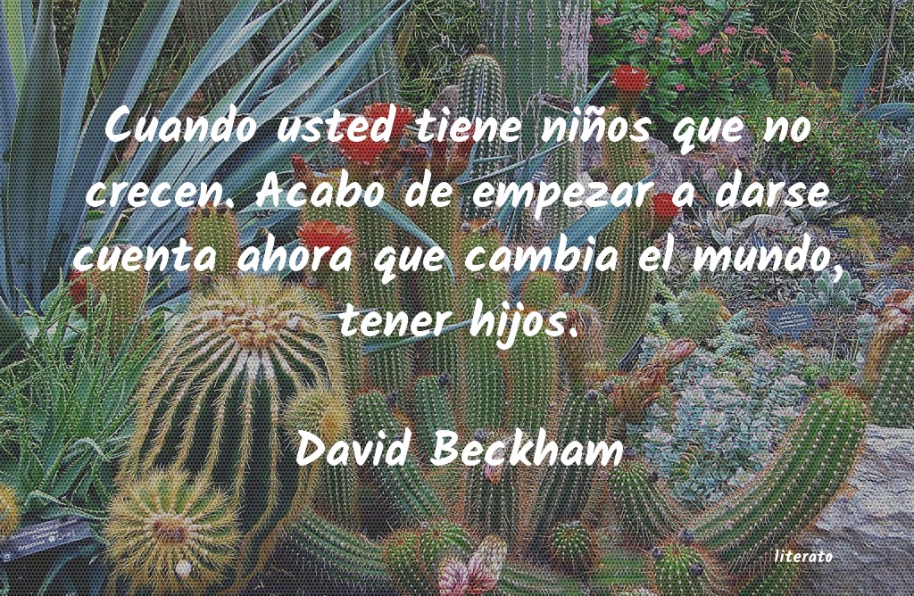 Frases de David Beckham