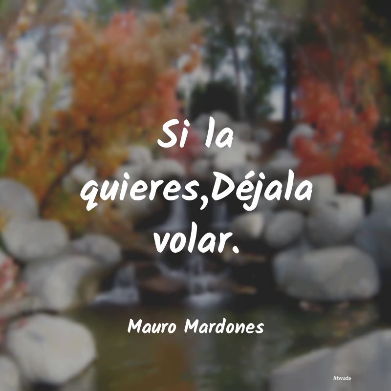 frases de Mauro Mardones