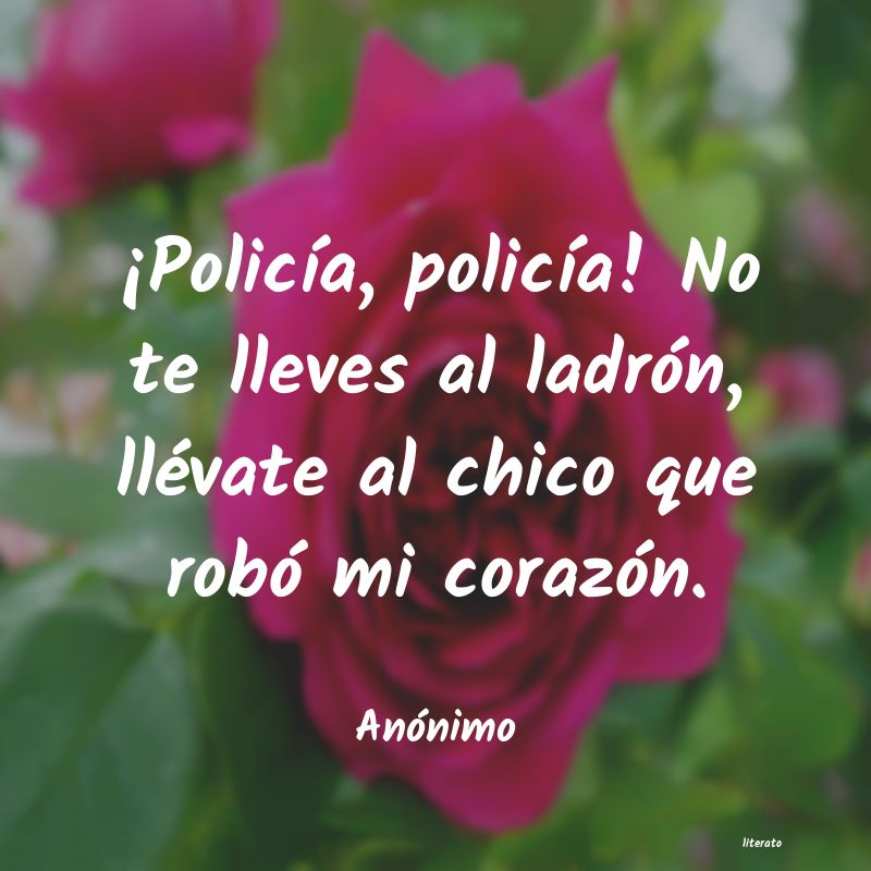 frases