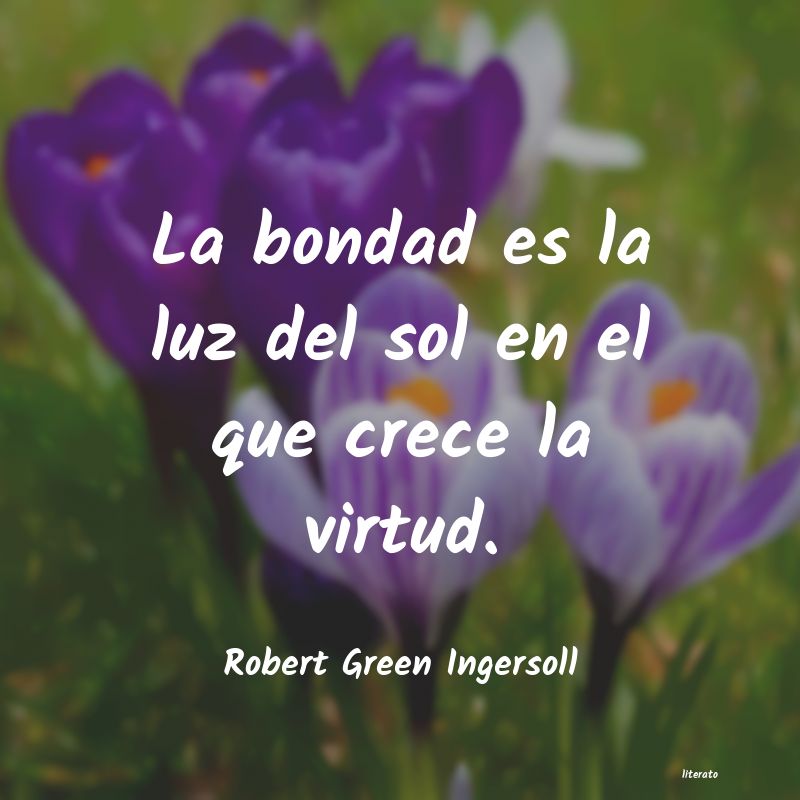 frases de Robert Green Ingersoll