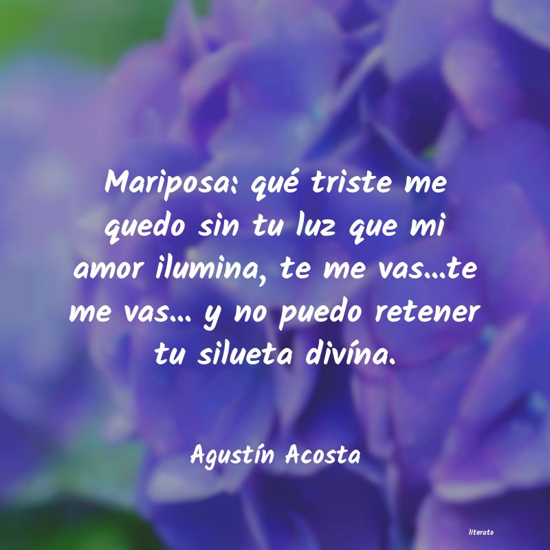 frases de un amor perdido