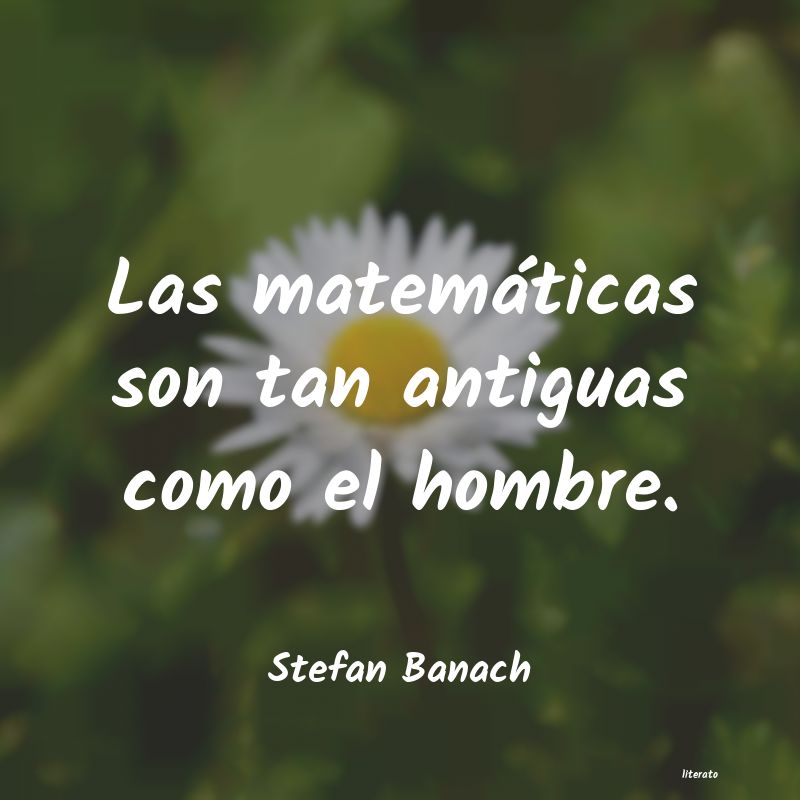 Frases de Stefan Banach