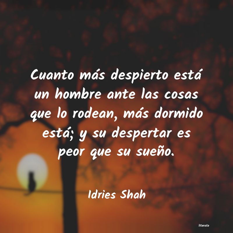 Frases de Idries Shah