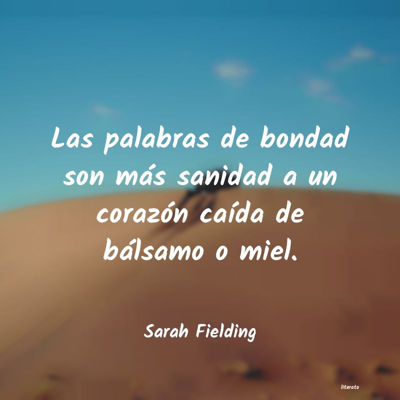 Frases de Sarah Fielding
