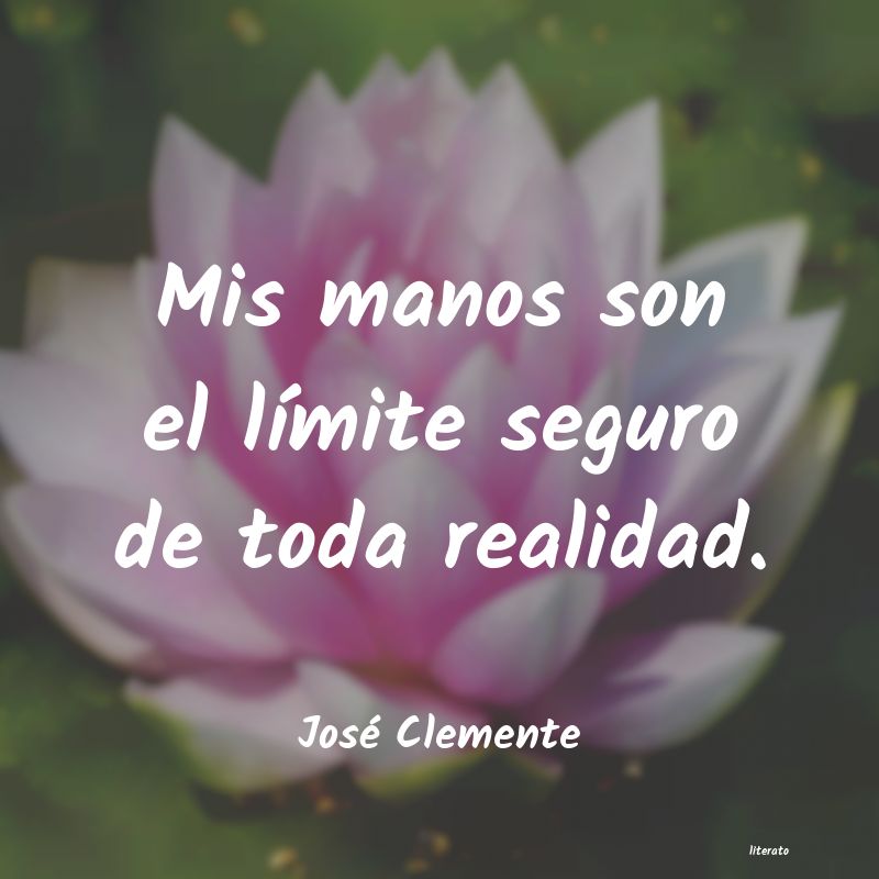 Frases de José Clemente