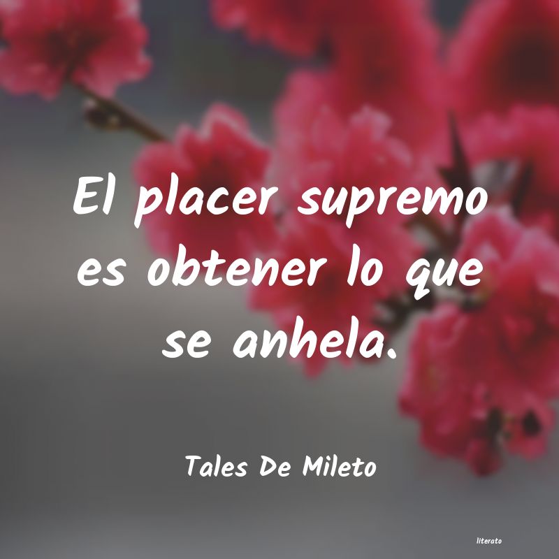 Frases de Tales De Mileto