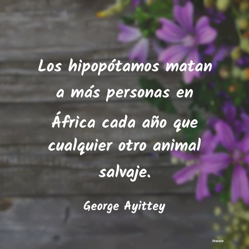 frases de George Ayittey
