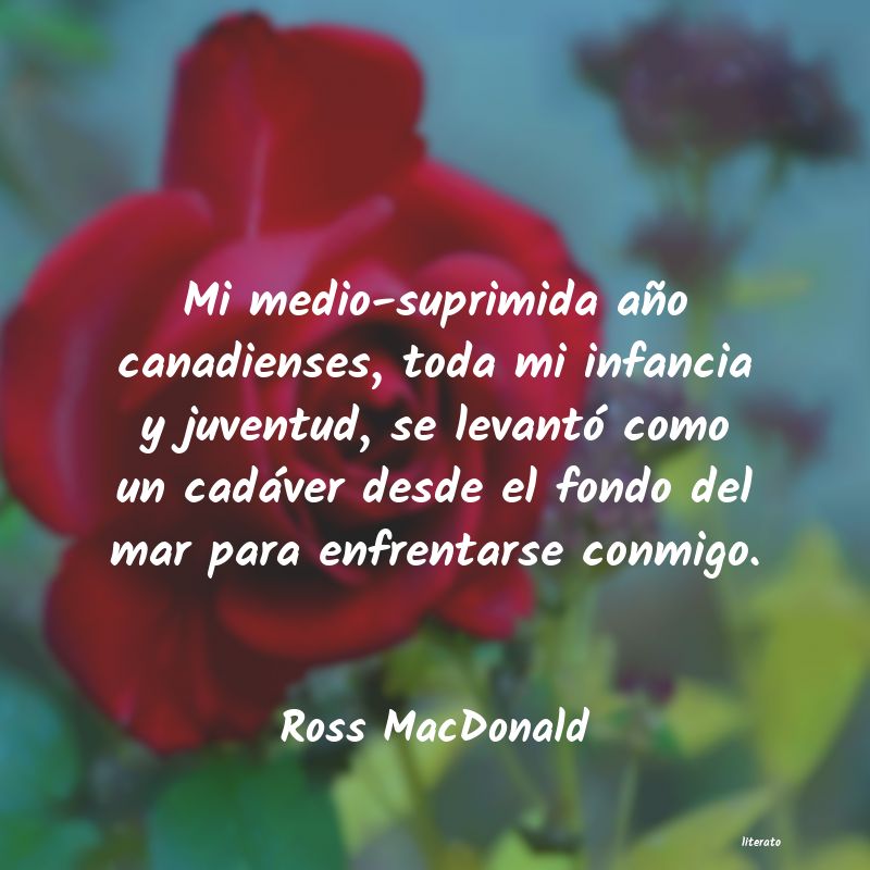 frases de Ross MacDonald