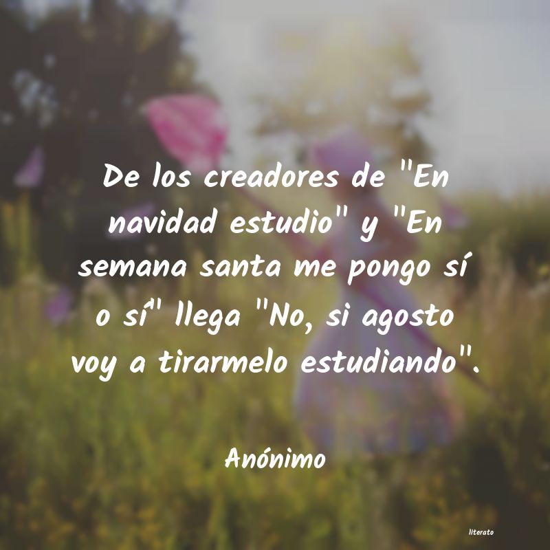 frases