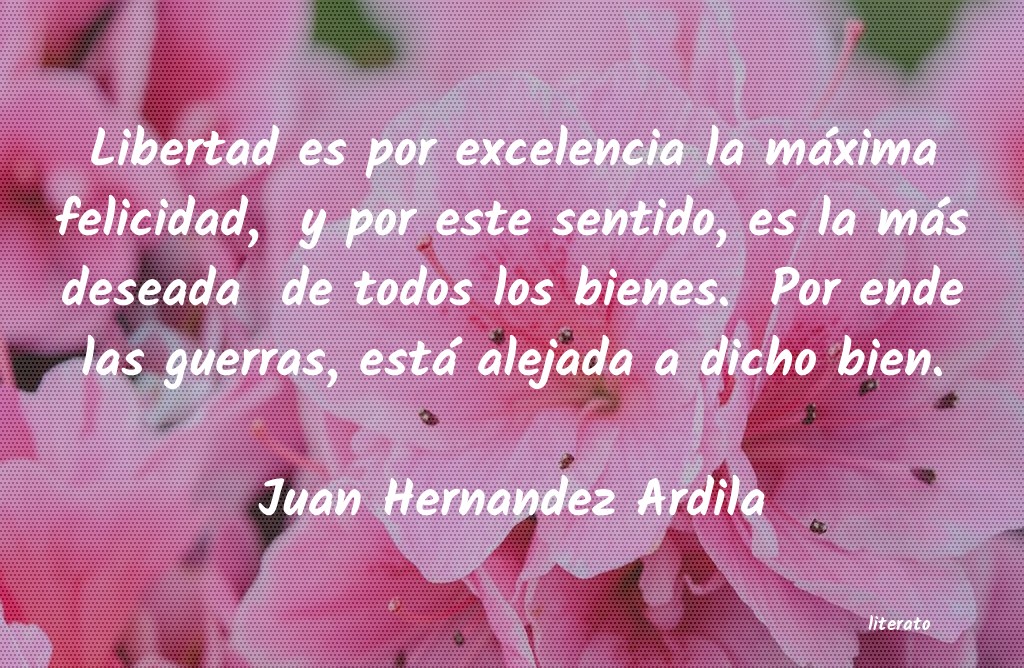 Frases de Juan Hernandez Ardila