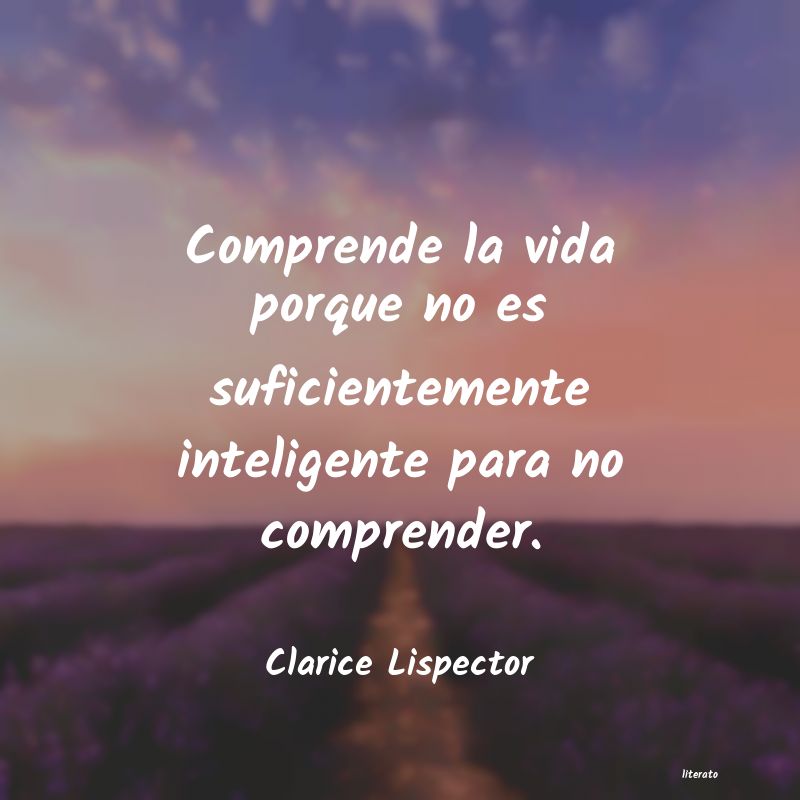 <ol class='breadcrumb' itemscope itemtype='http://schema.org/BreadcrumbList'>
<li itemprop='itemListElement'><a href='/autores/'>Autores</a></li>
<li itemprop='itemListElement'><a href='/autor/clarice_lispector/'>Clarice Lispector</a></li>
</ol>