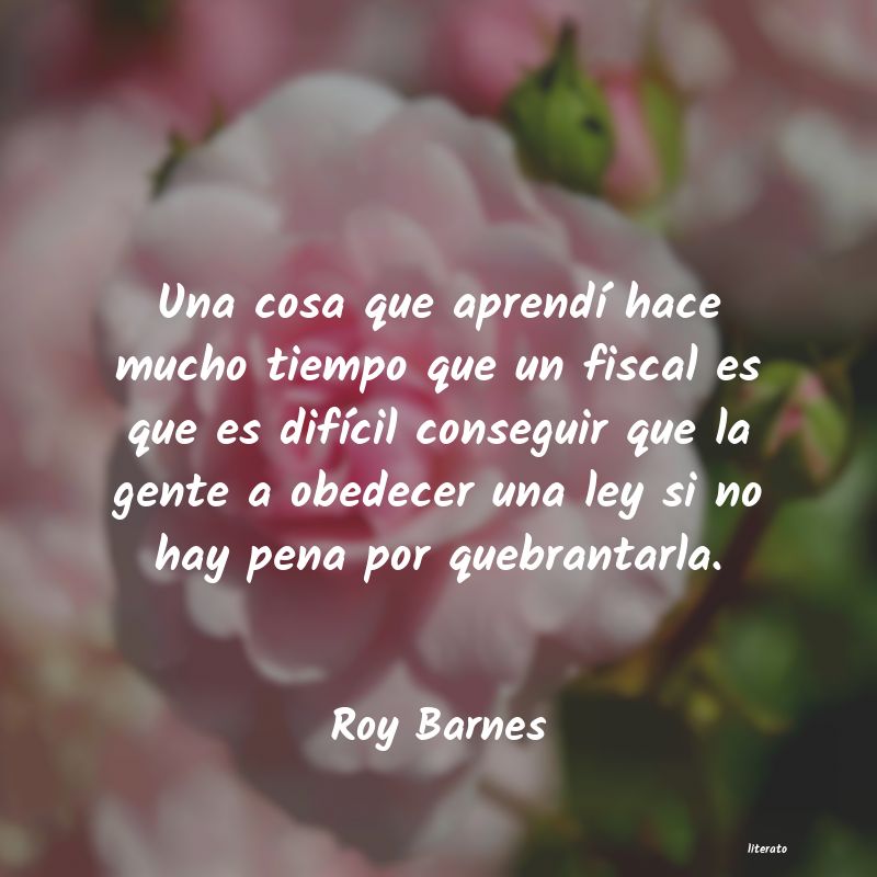 Frases de Roy Barnes