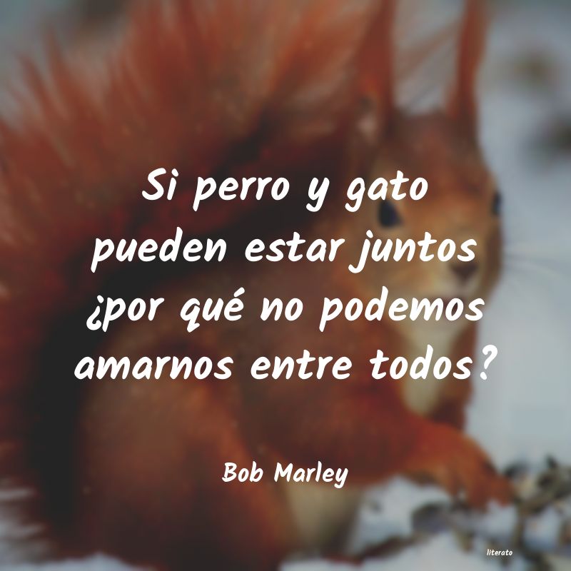 Frases de Bob Marley