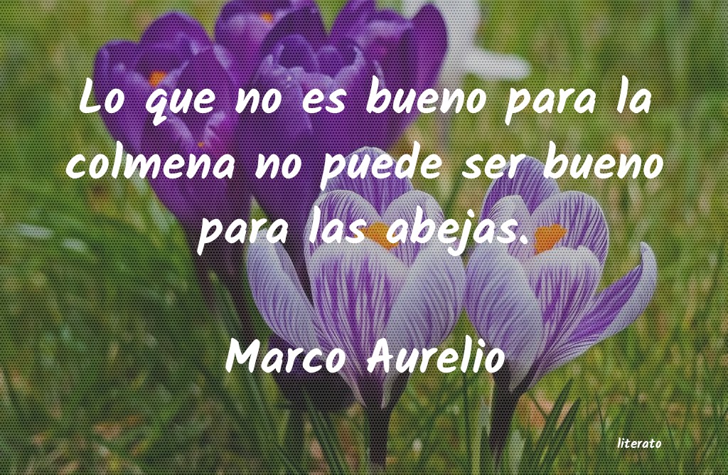 Frases de Marco Aurelio