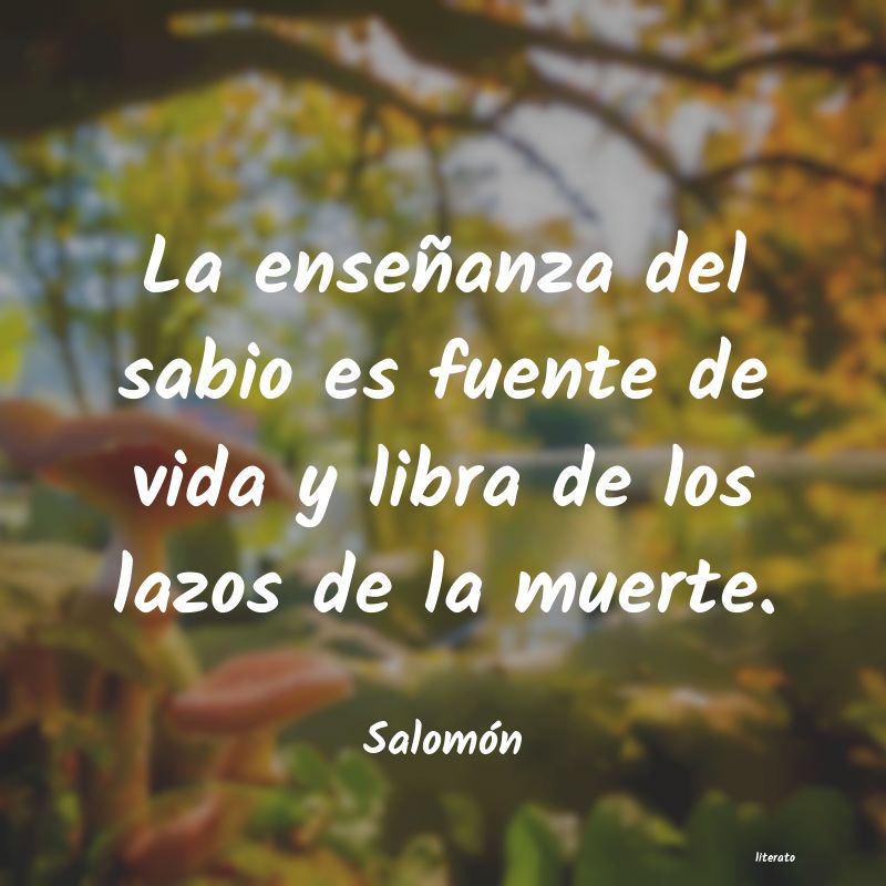 Frases de Salomón