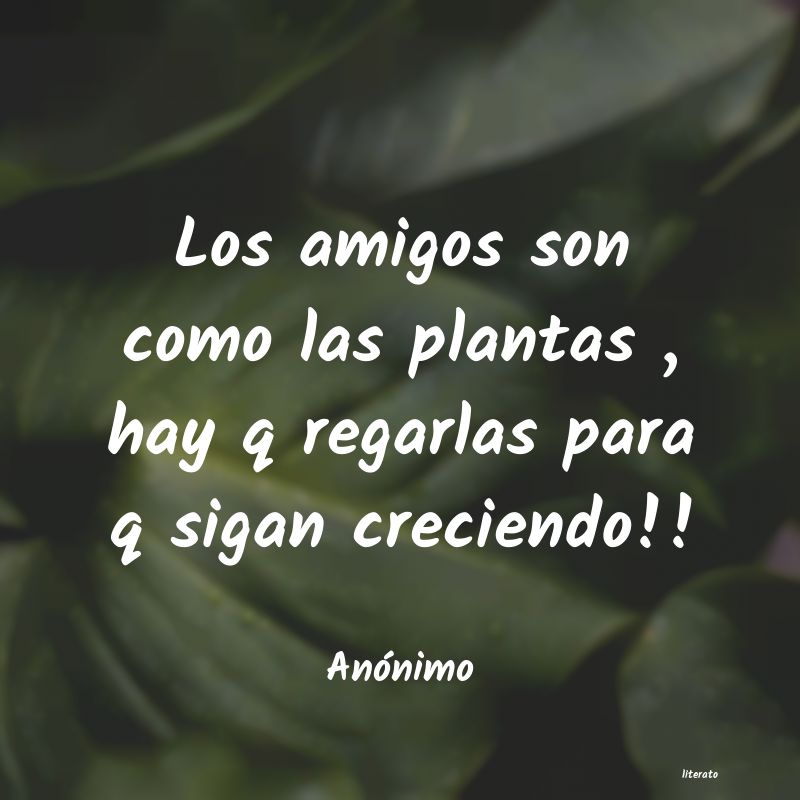 frases