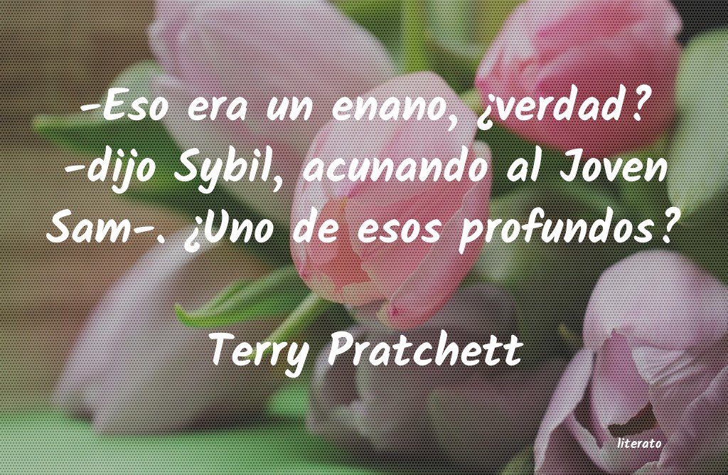 Frases de Terry Pratchett