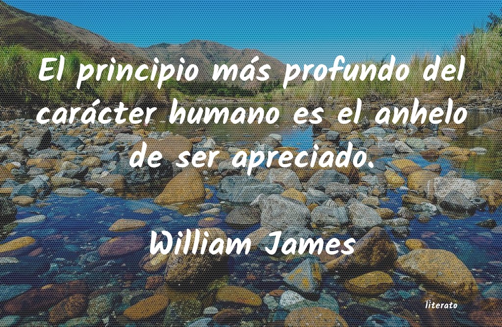 Frases de William James