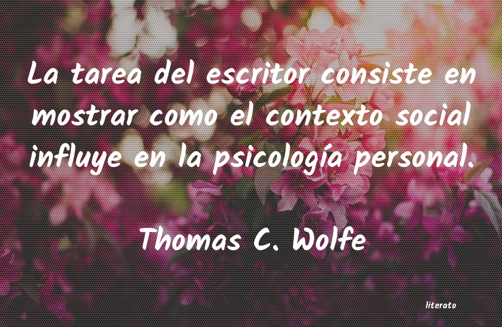 Frases de Thomas C. Wolfe