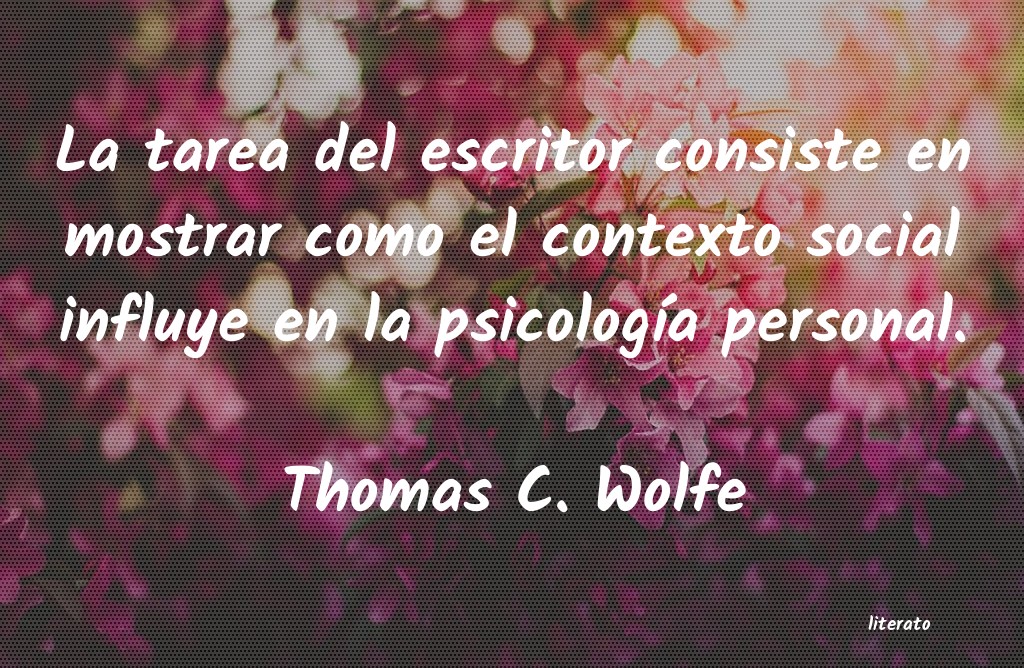 frases de Thomas C. Wolfe