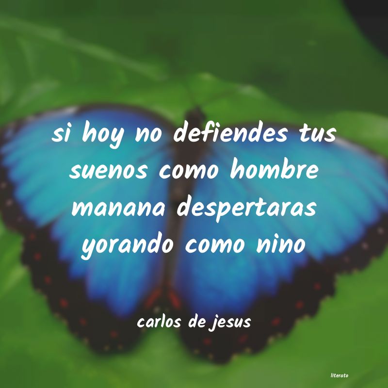 frases de carlos de jesus