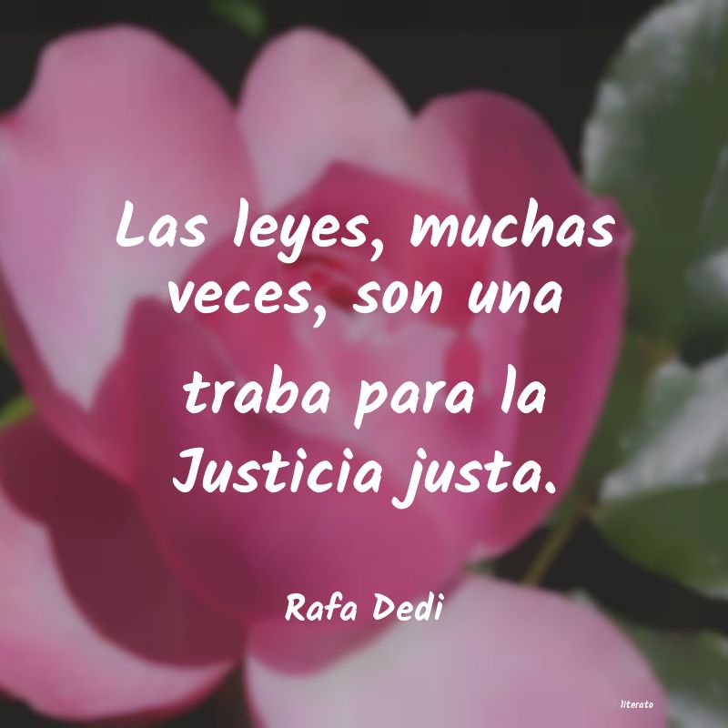 frases de Rafa Dedi