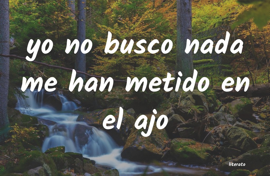frases