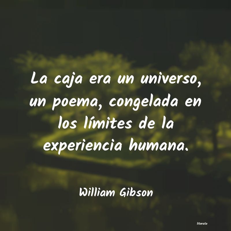 Frases de William Gibson