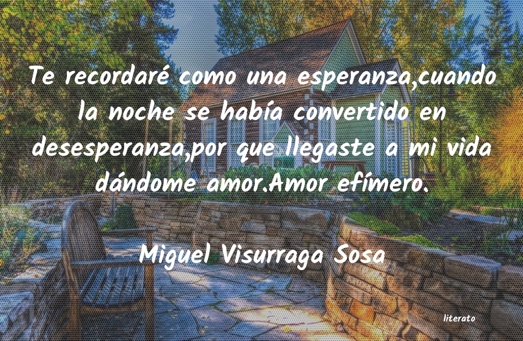 frases de Miguel Visurraga Sosa