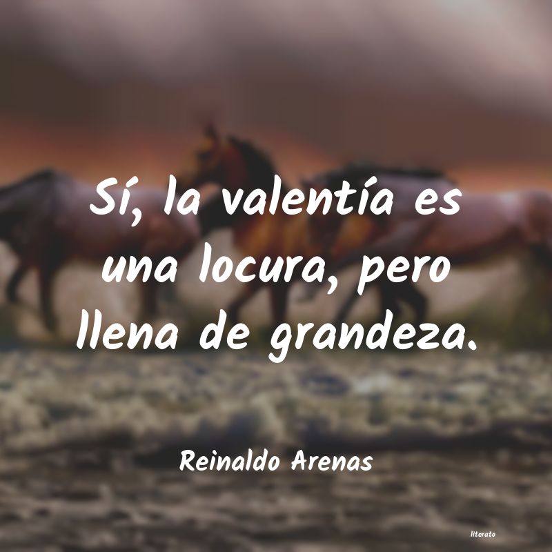 frases de Reinaldo Arenas