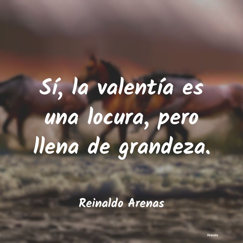 Frases de Reinaldo Arenas