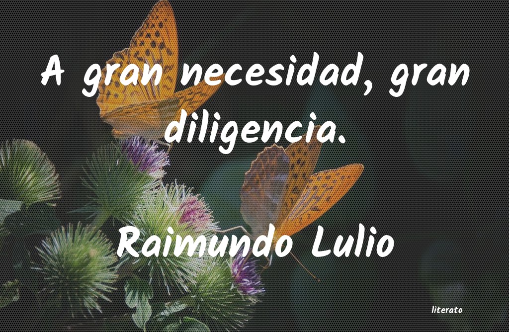 Frases de Raimundo Lulio