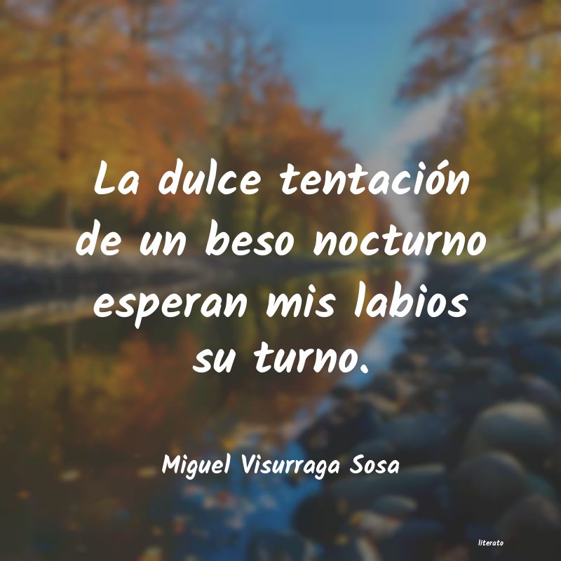 frases de Miguel Visurraga Sosa