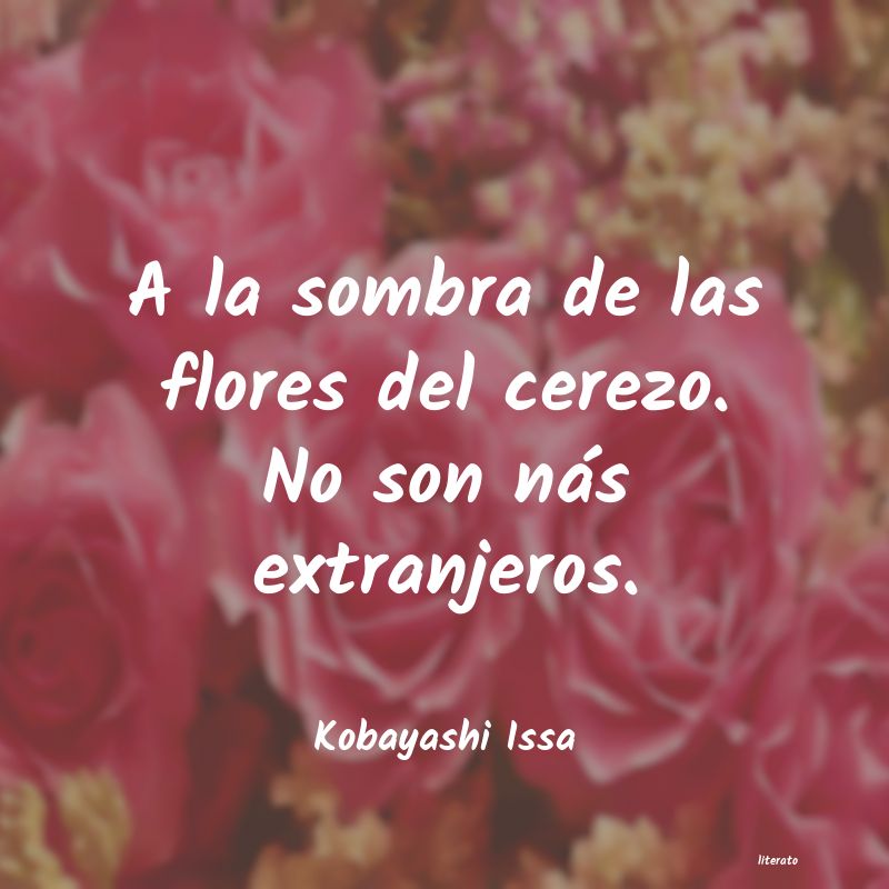frases de Kobayashi Issa
