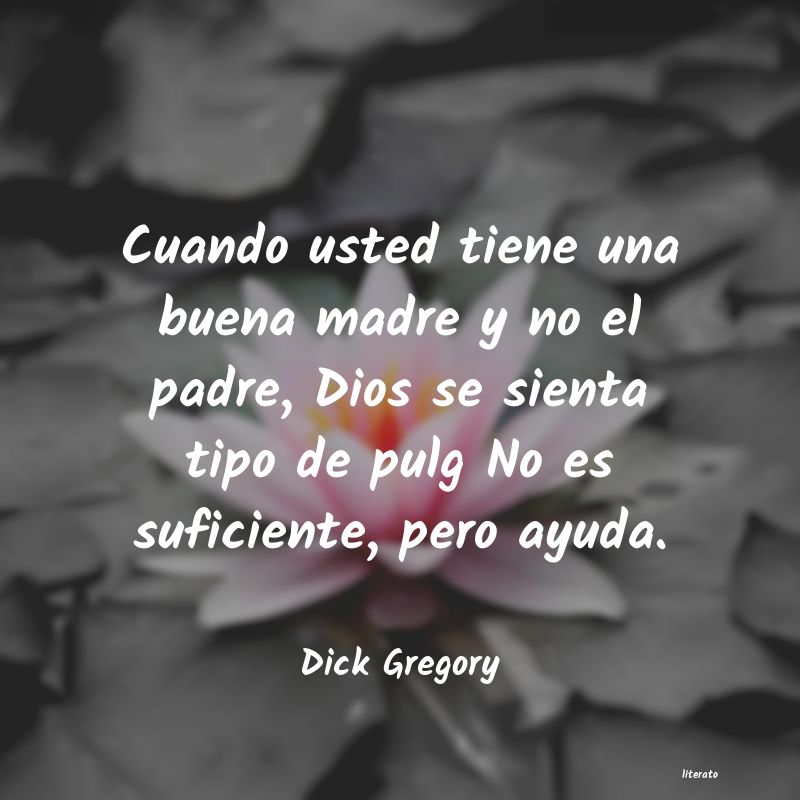 frases de Dick Gregory